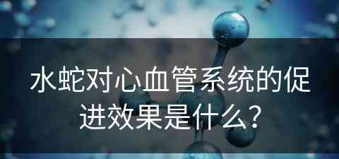 水蛇对心血管系统的促进效果是什么？